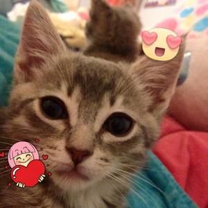 Meet your Posher, Ella